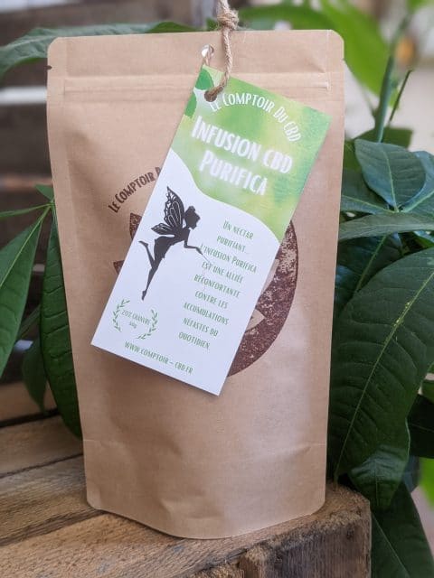 Infusion PURIFIANTE - 50g